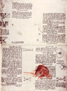 Notities over de fysiologie van het zien door Leonardo da Vinci